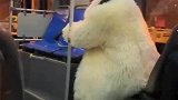 哎呦起猛了，看见座山雕坐公交了
