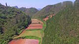 青龙白虎砂环抱，干龙入脉结穴，富贵双全墓葬风水宝地！