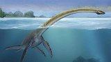 加拿大奥古布古水怪之谜 长达18米的神秘生物 73