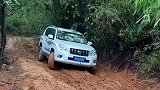 终于知道什么叫横行霸道了，丰田不是白叫的，越野王者！