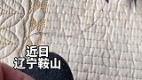 收养的灰喜鹊把主人当亲人，补袜子时帮忙拽针引线