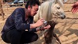 于老师：好家伙！于谦 谦酒 德云社 双十一