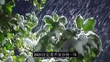 东北暴雪背后“罪魁祸首”被揭，白岩松一语中的，年最冷寒冬来袭
