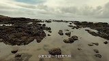 大潮后海货全部浮出海底，阿文撞见“黑龙戏珠”，连鲨鱼都能抓到