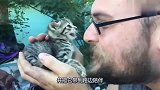 流浪小奶猫奄奄一息，得到男子的帮助，重获新生