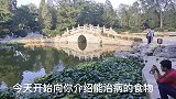 药食同源，你知道吗