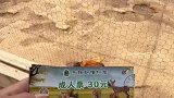 花了30来动植物园，里面居然是鸡？