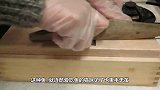 身披防弹衣的泰坦鱼游多硬？厨师连坏几把刀，终于皮肉分离