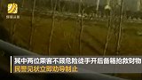 宁波一轿车春运返乡在高速上起火 民工的积蓄被烧成灰烬