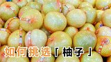 柚子买尖的还是圆的好？牢记5个诀窍，柚子皮薄肉多水分足，学学
