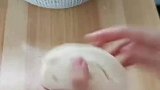 我才是隐藏的富豪