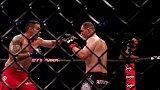 UFC-17年-UFC213倒计时：终结艺术大师温顿与欧沃瑞的终极碰撞-专题