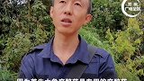 亚洲象监测员称麻醉送返不现实！秋冬季大象或原路返回！