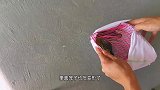 一对墨银顶牡丹鹦鹉，这盒子太给力了，竟然自己裂开了