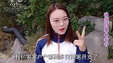10月份农村人要交的两笔钱，第二笔人人都得交，不然容易吃大亏