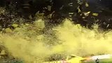 德国杯-1314赛季-淘汰赛-半决赛-多特球迷抛出黄色纸屑-花絮