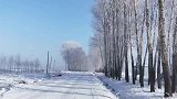 东北下雪过后，走在雪地上发出吱吱的声音，是最美的旋律！