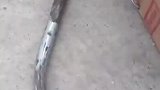 纸箱破了一个角，里面显露出一张张钞票