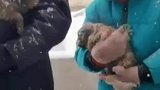 大雪天父子俩出去散步，捡了两只冻到发抖的小狗回家
