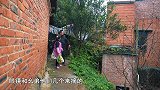 包立春嘴馋，桃子姐做一锅饺子，包立春一人吃40个，真解馋