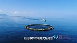 “蔚蓝未来”海洋主题短视频征集和传播活动宣传片