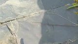 扔掉不要了谁要