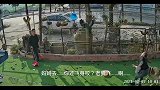 狼儿：以为你能保护我呢，结果你比我还怂