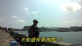 矶钓，下午钓况不佳，竹梭鱼来凑数
