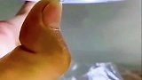 家里的冰箱你调对了吗