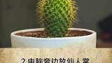 让你颠覆三观的四个冷知识。