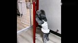 4只泰迪排队抢床位睡觉，接下来一幕太逗了，结局爆笑全网！