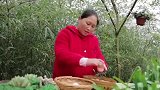 胖姐做腌鸡蛋吃，30天腌制起沙又流油，一口一个真香！