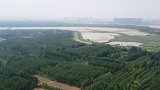 航拍济南龙湖湿地，黄河岸边的防护林绿影盎然，环境优美惹人醉