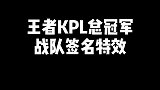 KPL总冠军战队选手，将会拥有为其他皮肤装配