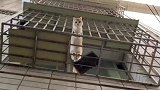 当你用奇怪角度看猫