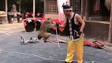 猴子巧投篮。