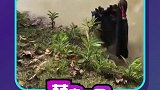 应该是干了什么亏心事