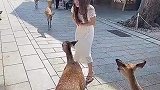 美女被包围了，这下该咋办呢