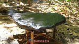 用石板烤出美味的沼泽蓝虾