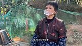 福建华安柴火麦芽糖，阿姨因儿媳做月子，学习用小麦和糯米熬糖8年