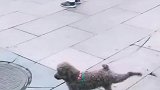 动作还有很大的进步空间