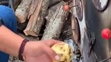 家乡特产烤土豆洋芋，满满的回忆，现在很少能吃到