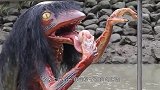 河边发现奇怪生物，行动缓慢有气无力，老人惊呼这是水鬼!