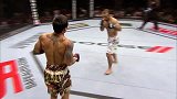 UFC-14年-UFC Fight Night 52日本站前瞻：山本德郁对战集锦-专题