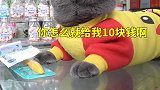 行走江湖这么多年 就这点道行还想套路我肥猫老板？