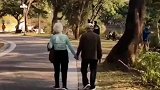 网友随手拍下一对老夫妻牵手走路的背影