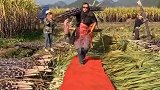 乡村四宝甘蔗展销会，你笑了吗