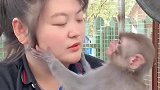 搞笑小猴子太可爱了，和饲养员交流起来像个小孩子！