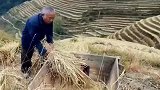你们认识这个吗，现在好像没有了