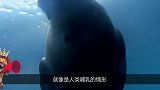 潜水员潜水时，意外发现海底上锁的铁笼子，里面的惨状让人愤怒